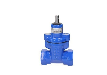 Zasuwa miękkouszczelniona gwintowana Gw / Gw DN 50 GW 2