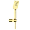 Zestaw prysznicowy Deante Alpinia NGA Z41K 1-punktowy gold