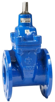 Zasuwa fig. 2111 FI 40 F4 GG25 JAFAR 2111-0040-2E161